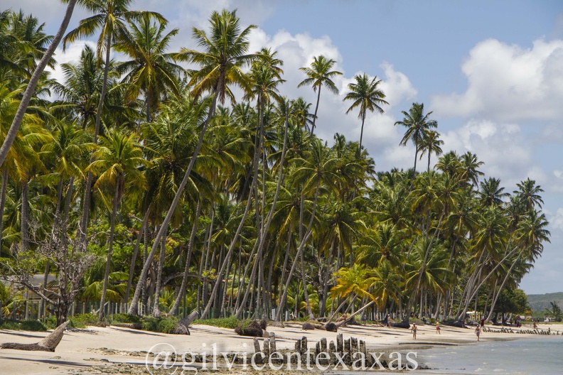 Praia de Carneiros.