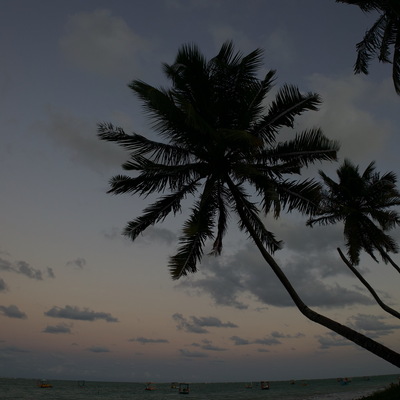 Praias NE