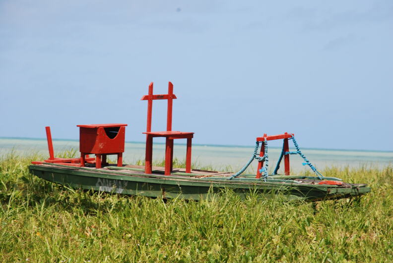 DSC 6566