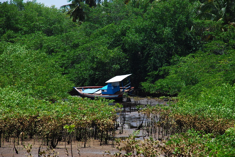 DSC 1631