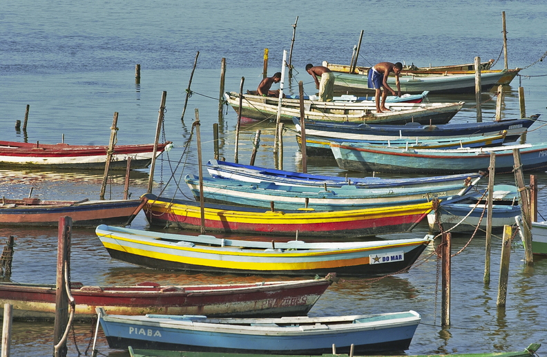 Cotidiana pesca